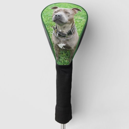 Adult Staffordshire Bull Terrier Golf Driver Cover Golf Headcover (Vorderseite)