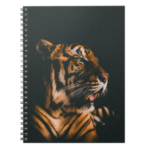 ADULT TIGER PRONE LYING INSIDE DIM LIGHTED ROOM NOTIZBLOCK