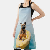 Adulter brauner, auf Kajak stehender Bulldogge Schürze (InSitu)