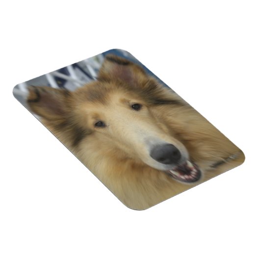 Adulter roter Collimagnet Magnet (Rechte Seite)