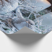 Advent Wreath Geschenkpapier (Ecke)