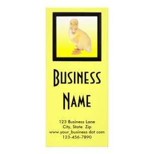 Adventliches Gelbente Foto Tierpflege Werbekarte