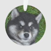 Adventure Alusky Welpenhund Ornament (Vorderseite)