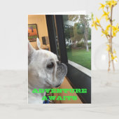 Adventure Awaits - Happy Birthday Karte (Gelbe Blume)