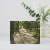 Adventure Awaits Postcard Postkarte (Stehend Vorderseite)