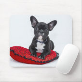 Adventure Black and White Bulldog Puppy Foto Mousepad (Mit Mouse)