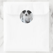 Adventure Black and White Puppy Runder Aufkleber (Tasche)