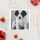 Adventure Black and White Puppy Serviette (Beispiel)