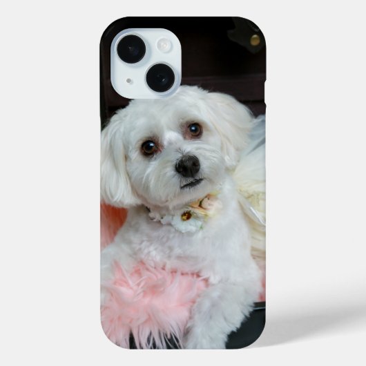 Adventure Extravagant White Puppy Portrait Foto Case-Mate iPhone Hülle (Rückseite)