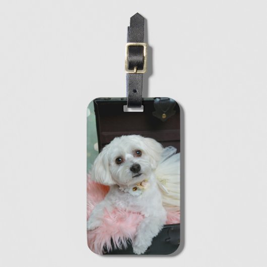Adventure Extravagant White Puppy Portrait Foto Gepäckanhänger (Vorderseite Vertikal)