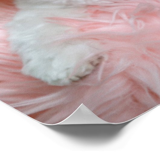 Adventure Extravagant White Puppy Portrait Foto Poster (Ecke)