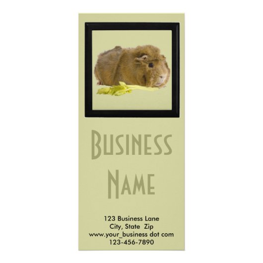 Adventure Ginger Guinea Pig Foto Pet Care Business Werbekarte (Vorne)