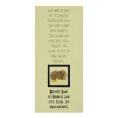 Adventure Ginger Guinea Pig Foto Pet Care Business Werbekarte (Hinten)
