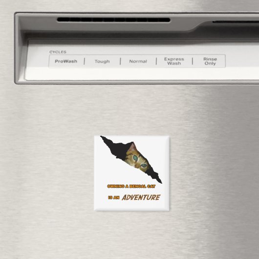 Adventure Magnet (In Situ (Geschirrspüler))