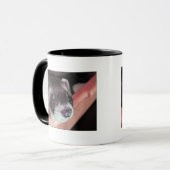 Adventure Sable Ferret Foto Tasse (Vorderseite Links)