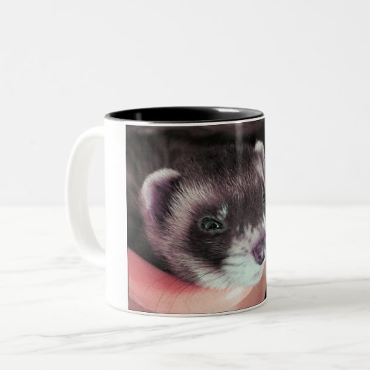 Adventure Sable Ferret Foto Zweifarbige Tasse (Vorderseite Links)