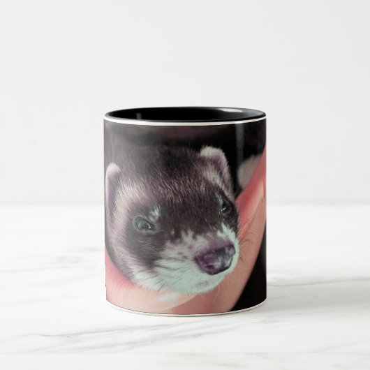 Adventure Sable Ferret Foto Zweifarbige Tasse (Mittel)