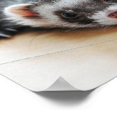 Adventure Sable Ferret Poster (Ecke)