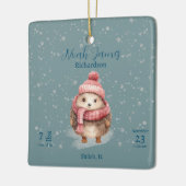 Adventure Winter Igel Baby Birth Stats Details Keramikornament (Links)