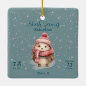Adventure Winter Igel Baby Birth Stats Details Keramikornament (Rückseite)