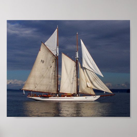 Adventuress Poster (Vorne)