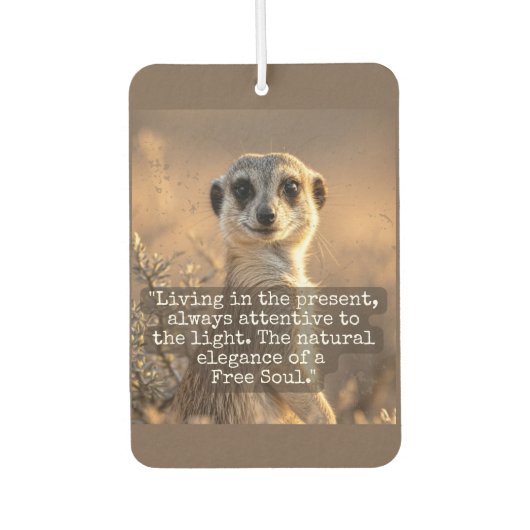 Adventurous Meerkat Living Autolufterfrischer (Vorderseite)