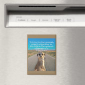 Adventurous Meerkat Living Magnet (In Situ (Geschirrspüler))