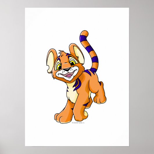 Adventurous orange Kougra Poster (Vorne)