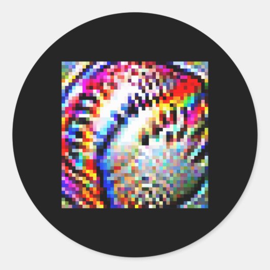 Adversarial Anti-Facial Recognition Camouflage Inv Runder Aufkleber (Vorderseite)