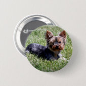 Advertierbare Yorkie-Multiprodukte Ausgewählt Button (Vorne & Hinten)