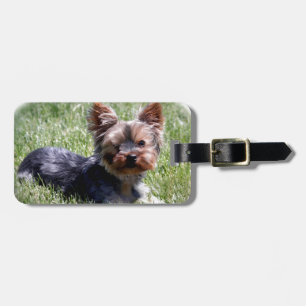 Advertierbare Yorkie-Multiprodukte Ausgewählt Gepäckanhänger