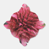 Aecmea Blume Abnehmen Gefälligkeitsbox Geschenkschachtel (Ungefaltet)