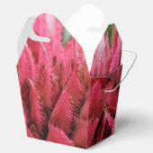 Aecmea Blume Abnehmen Gefälligkeitsbox Geschenkschachtel (Geöffnet)