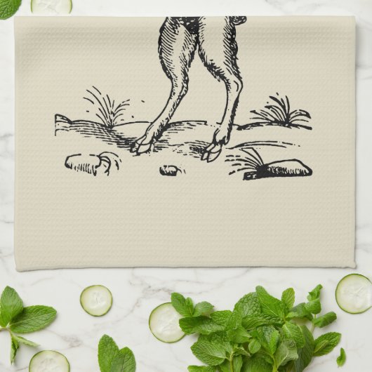 Aegopithecus, Pan, Devil Handtuch (Gefaltet)