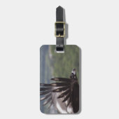 Aegypius monachus gepäckanhänger (Vorderseite vertikal)