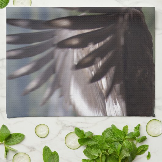 Aegypius monachus handtuch (Gefaltet)