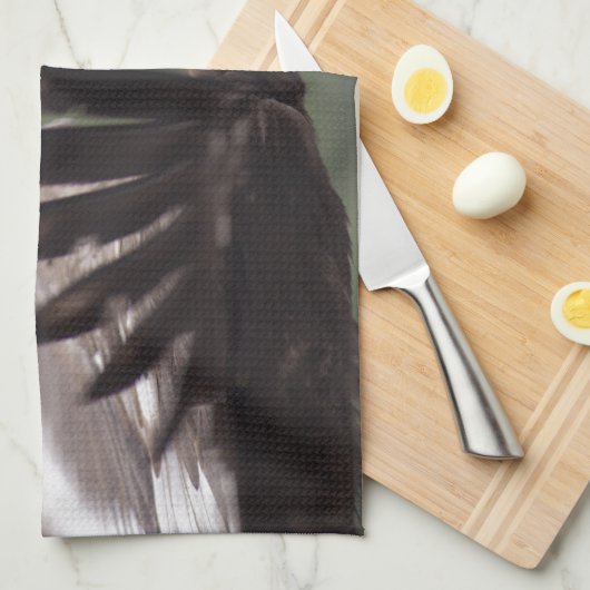 Aegypius monachus handtuch (Viertel Falte)