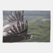 Aegypius monachus handtuch (Horizontal)