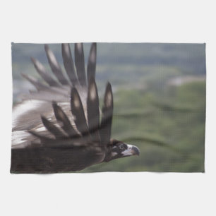 Aegypius monachus handtuch