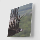 Aegypius monachus quadratische wanduhr (Winkel)