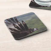 Aegypius monachus untersetzer (Linke Seite)