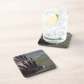 Aegypius monachus untersetzer (Rechte Seite)