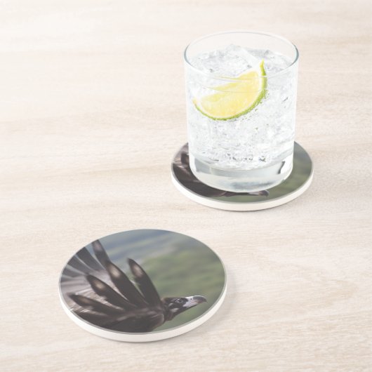 Aegypius monachus untersetzer (Seite)