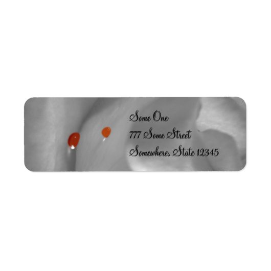 Aeolian Watercolor Address Labels (Vorne)