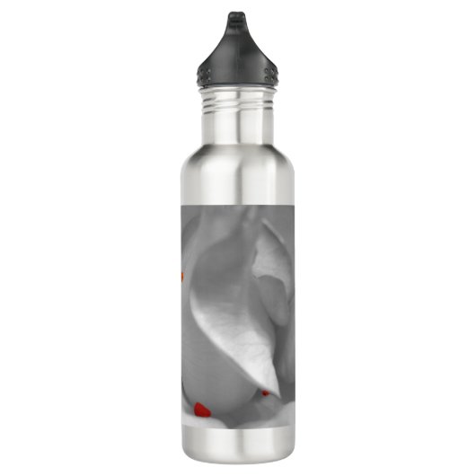 Aeolian Watercolor Edelstahlflasche (Rechts)