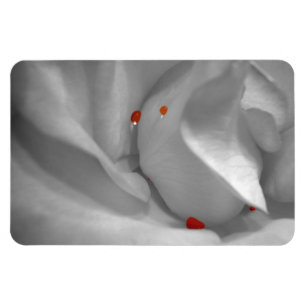 Aeolian Watercolor Flexible Magnet