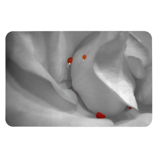 Aeolian Watercolor Flexible Magnet (Horizontal)