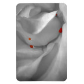 Aeolian Watercolor Flexible Magnet (Vertikal)