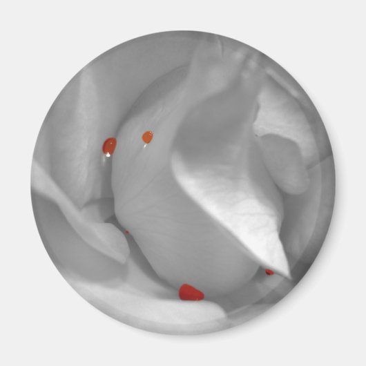 Aeolian Watercolor Magnet (Vorne)