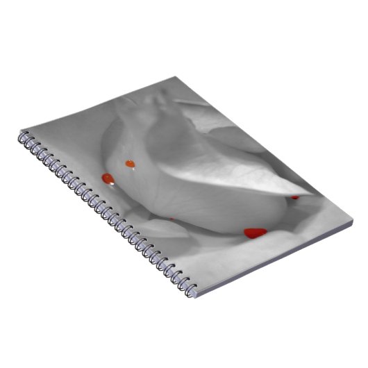 Aeolian Watercolor-Notebook Notizblock (Rechte Seite)